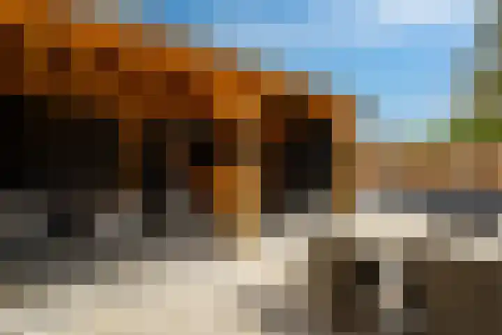 Oude Doesburgseweg 20 Zevenaar thumbnail 40