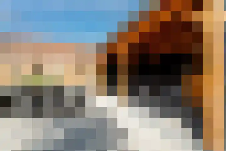 Oude Doesburgseweg 20 Zevenaar thumbnail 5