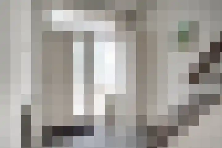 Oude Doesburgseweg 20 Zevenaar thumbnail 7