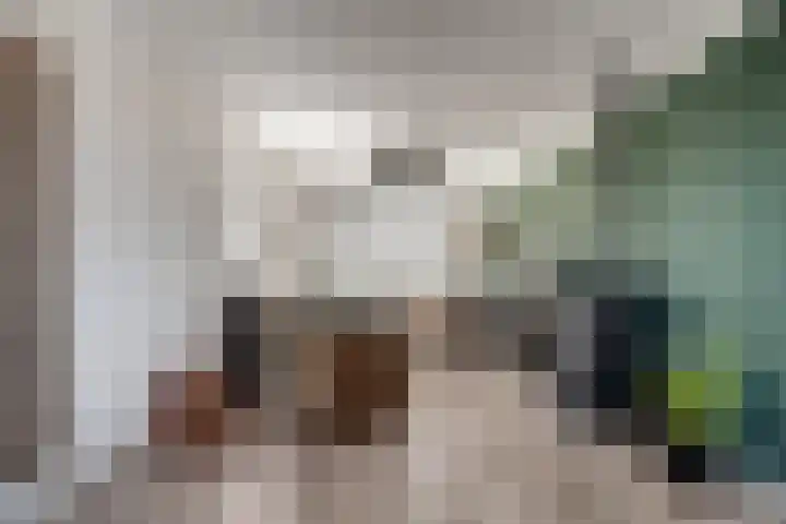 Oude Doesburgseweg 20 Zevenaar thumbnail 9