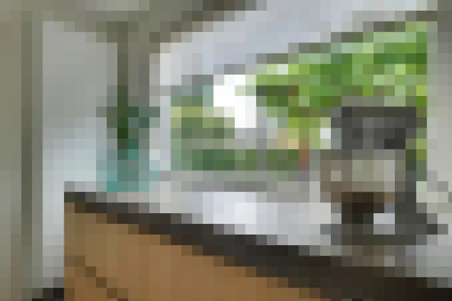 Oude Doesburgseweg 38 Zevenaar thumbnail 19