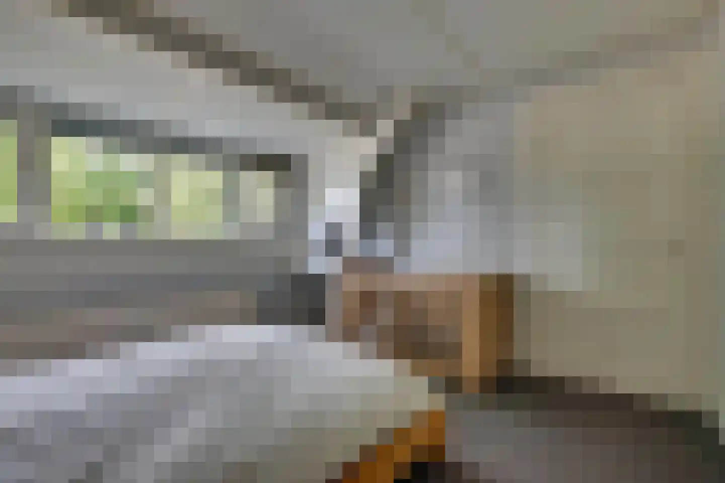 Oude Doesburgseweg 38 Zevenaar thumbnail 25