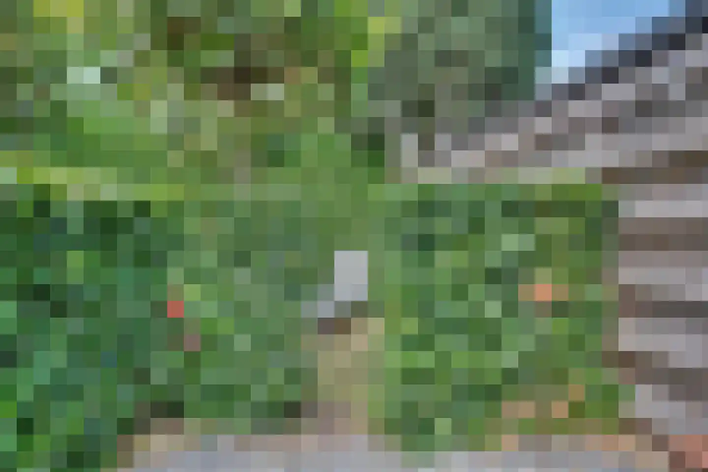 Oude Doesburgseweg 38 Zevenaar thumbnail 37