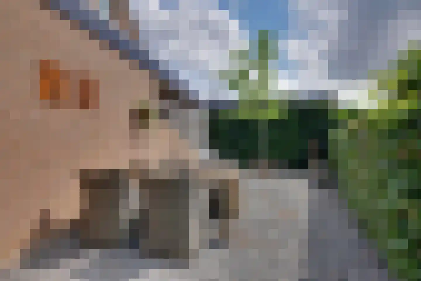Oude Doesburgseweg 38 Zevenaar thumbnail 42
