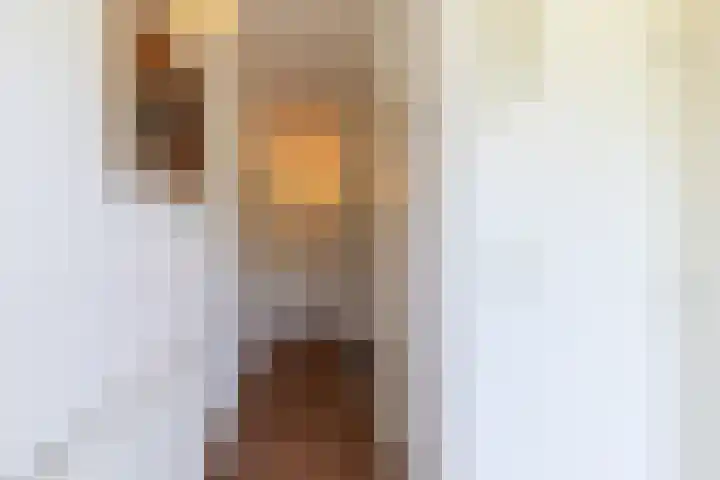 Oude Doetinchemseweg 124 's-Heerenberg thumbnail 8