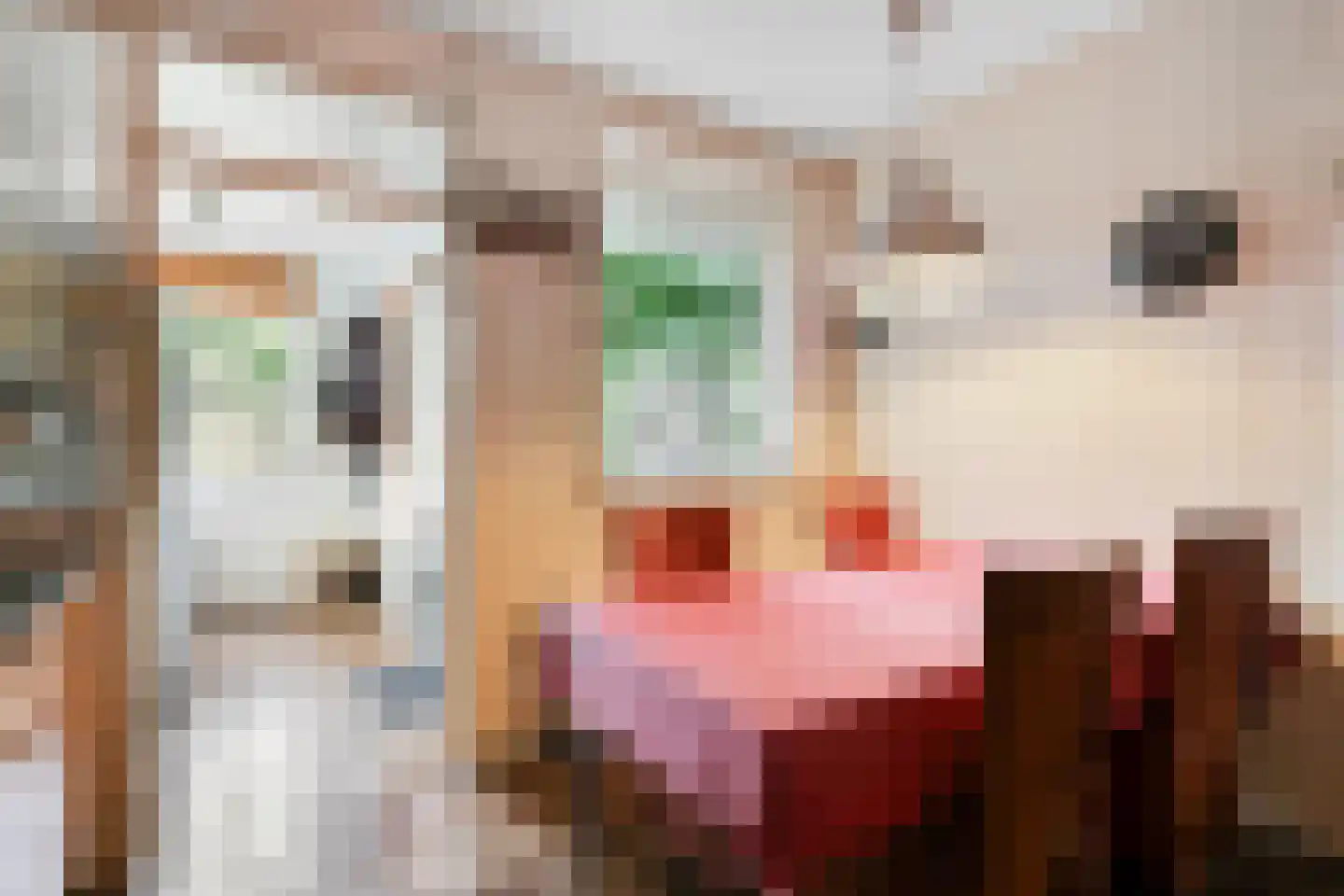Oude Doetinchemseweg 17 Zeddam thumbnail 20