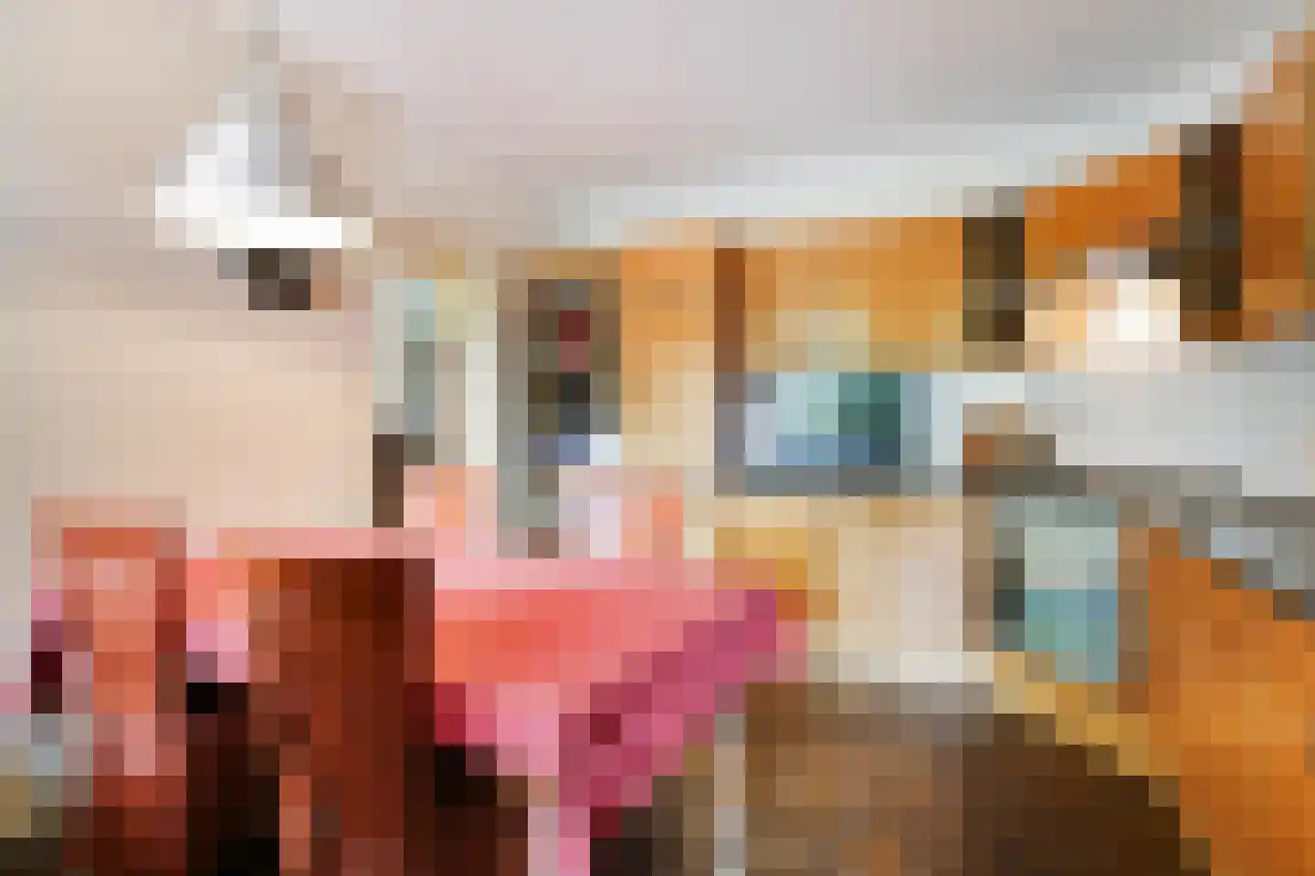 Oude Doetinchemseweg 17 Zeddam thumbnail 21