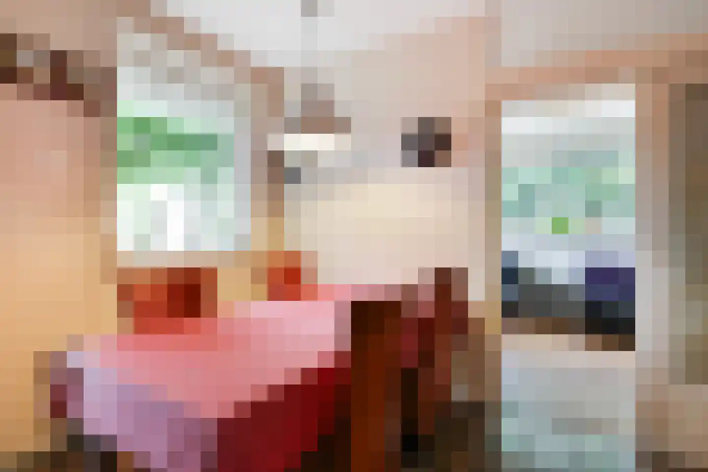 Oude Doetinchemseweg 17 Zeddam thumbnail 22