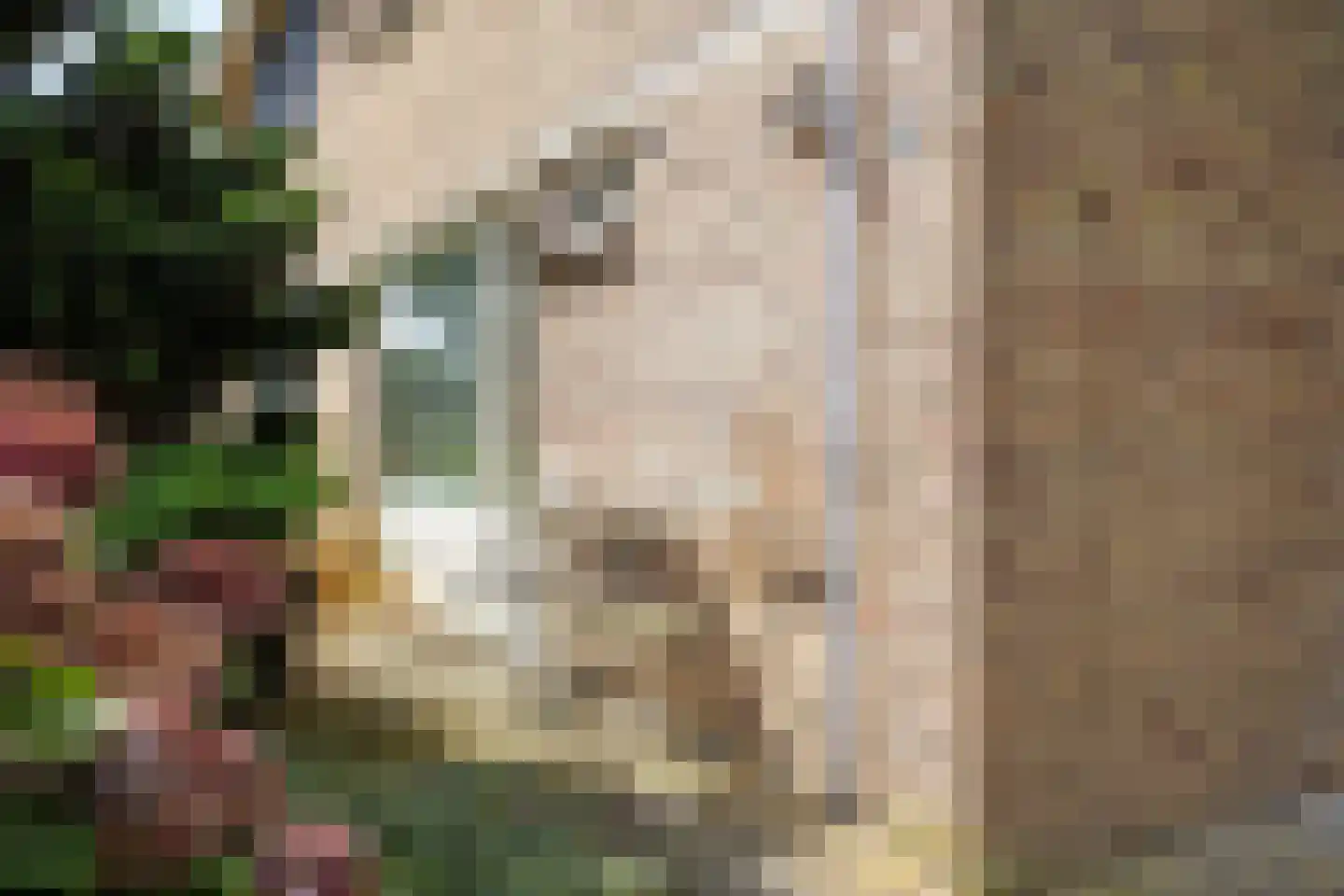 Oude Doetinchemseweg 17 Zeddam thumbnail 4