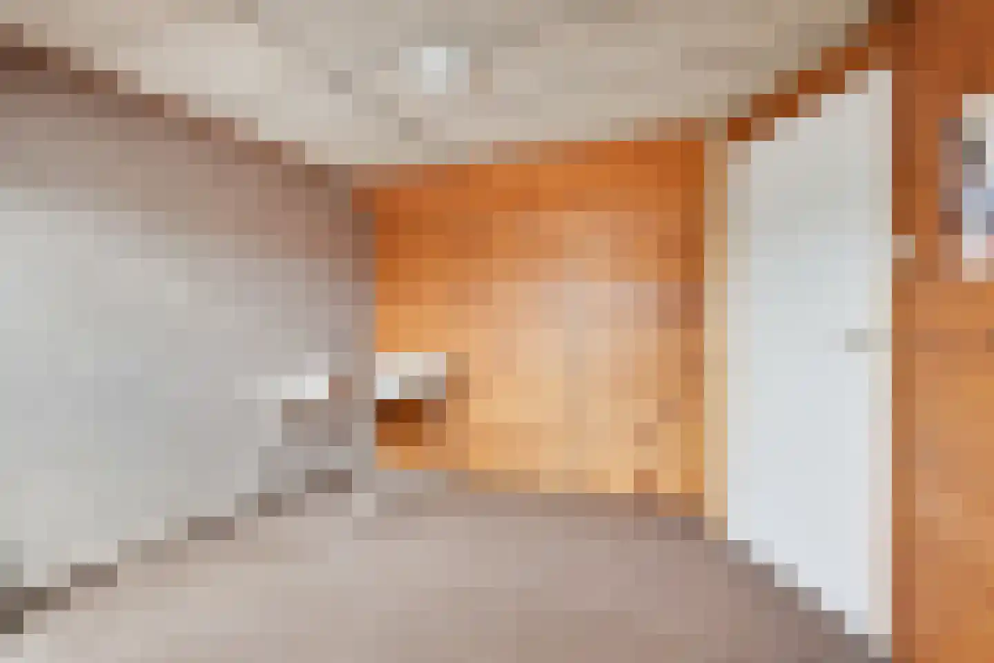 Oude Doetinchemseweg 17 Zeddam thumbnail 47