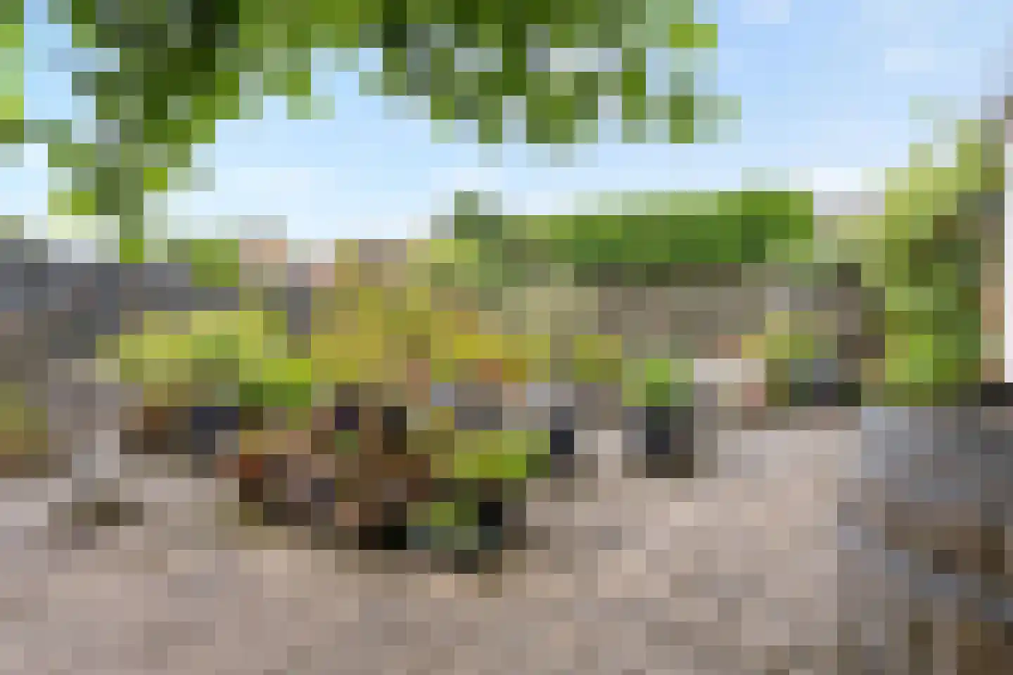 Oude Doetinchemseweg 17 Zeddam thumbnail 49