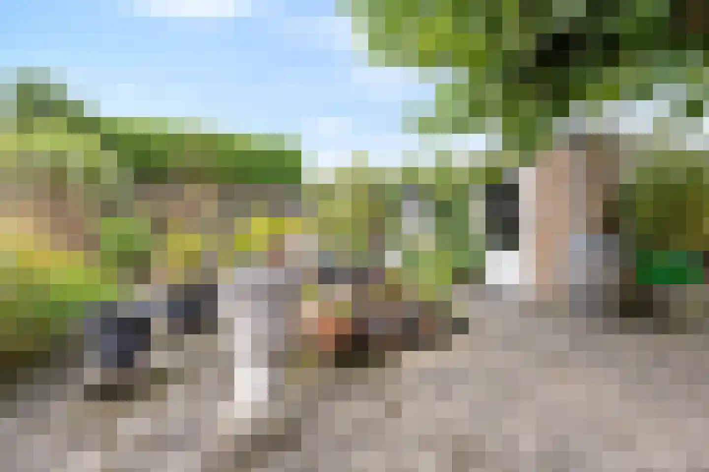 Oude Doetinchemseweg 17 Zeddam thumbnail 50