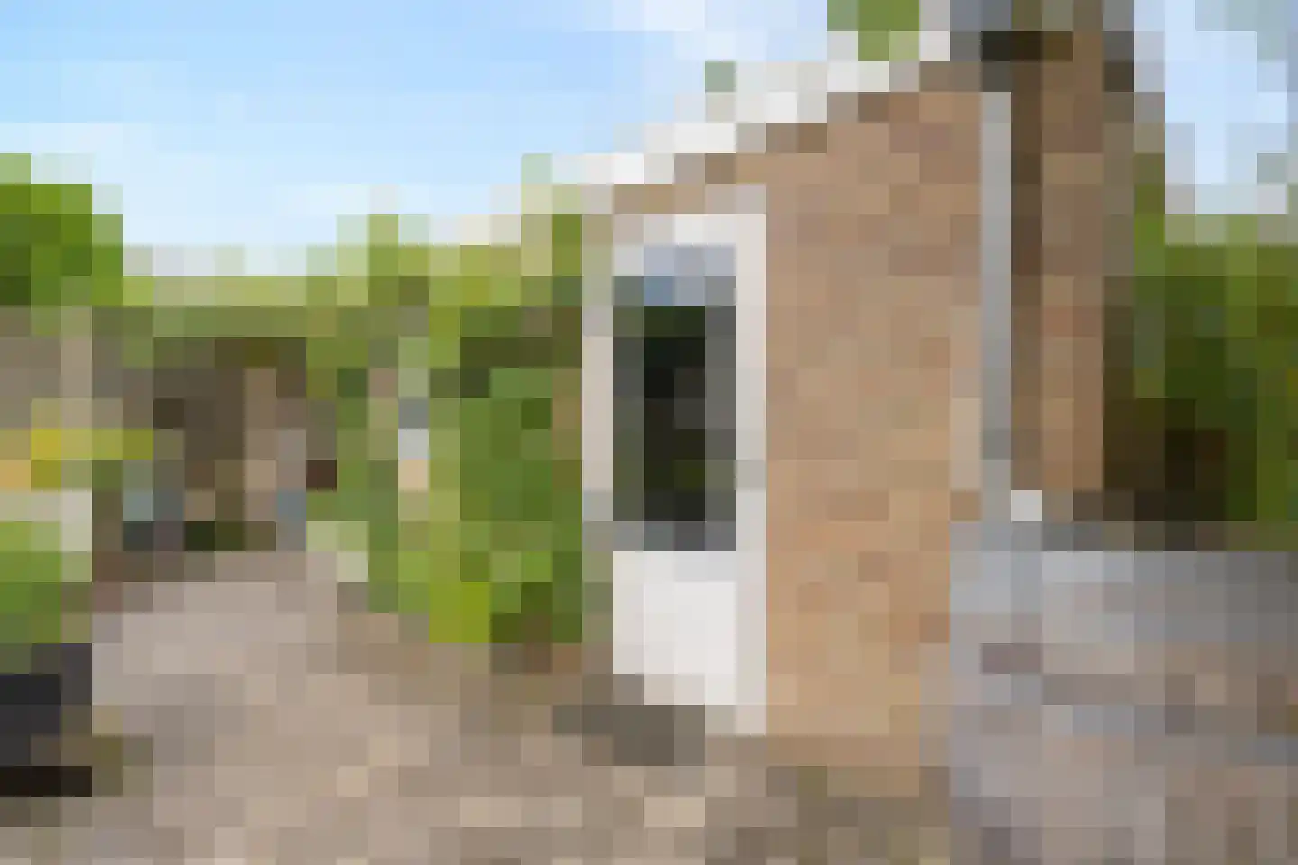 Oude Doetinchemseweg 17 Zeddam thumbnail 51