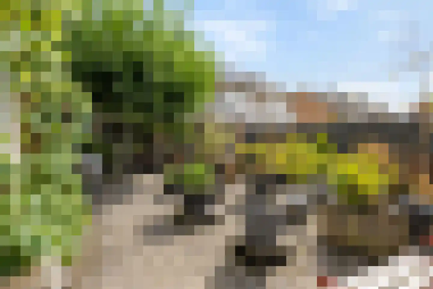 Oude Doetinchemseweg 17 Zeddam thumbnail 53