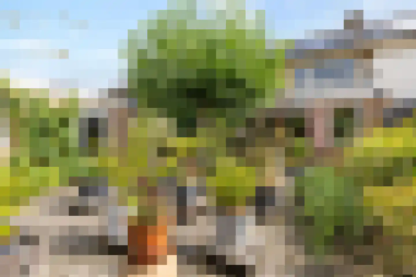 Oude Doetinchemseweg 17 Zeddam thumbnail 54