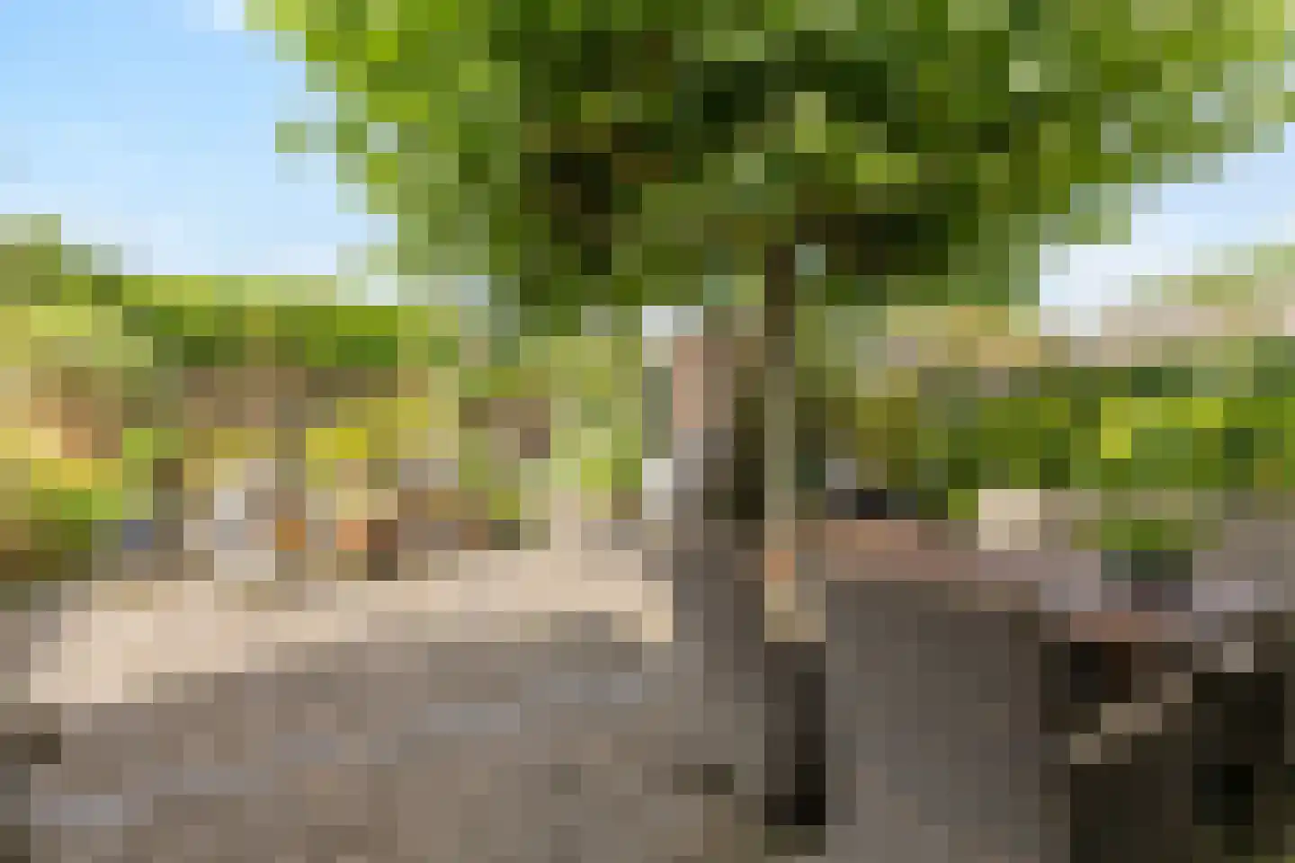 Oude Doetinchemseweg 17 Zeddam thumbnail 56