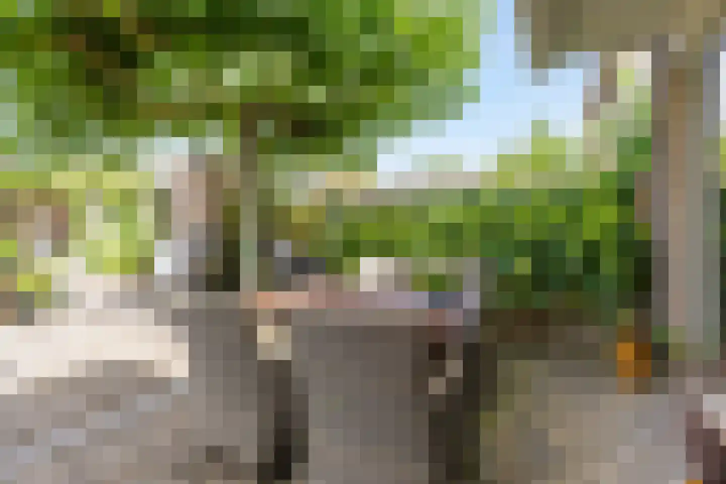 Oude Doetinchemseweg 17 Zeddam thumbnail 57