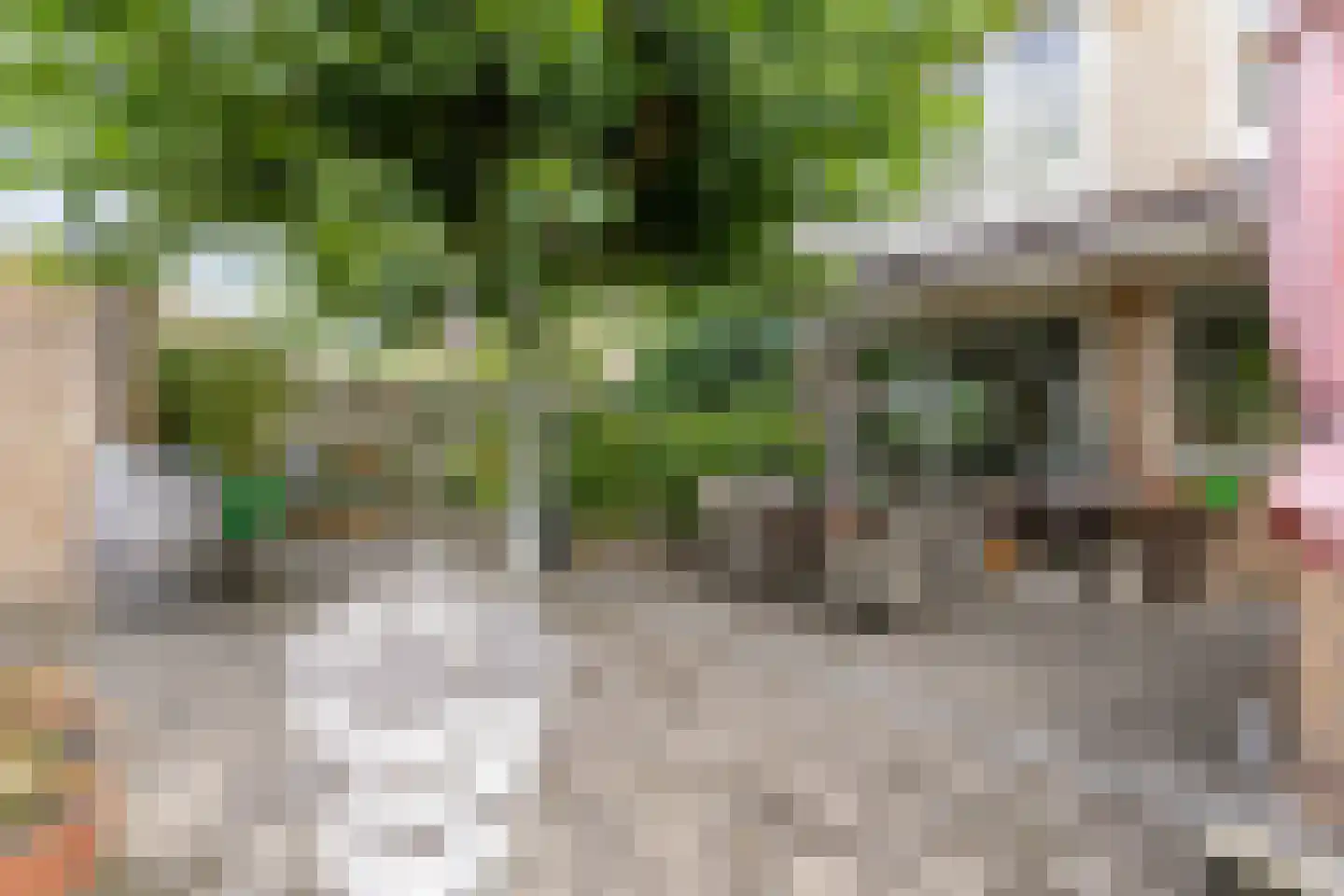 Oude Doetinchemseweg 17 Zeddam thumbnail 60