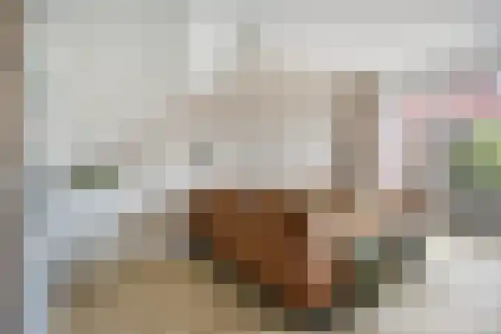 Oude Doetinchemseweg 20 a Zeddam thumbnail 13