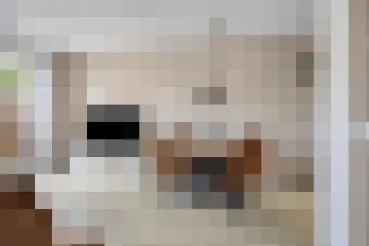 Oude Doetinchemseweg 20 a Zeddam thumbnail 15