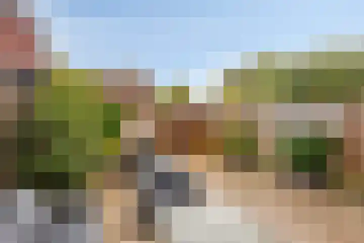 Oude Doetinchemseweg 20 a Zeddam thumbnail 39