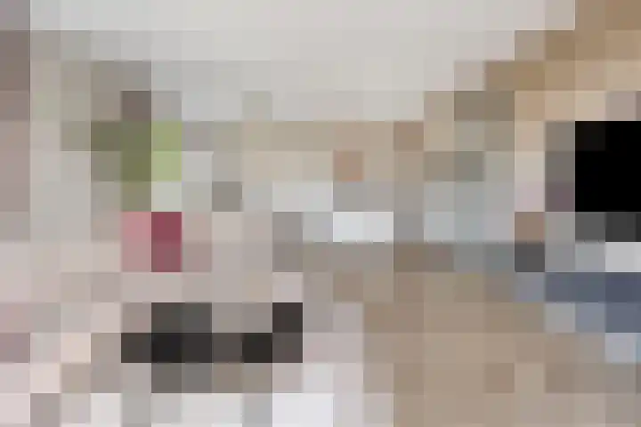 Oude Doetinchemseweg 22 d 's-Heerenberg thumbnail 10
