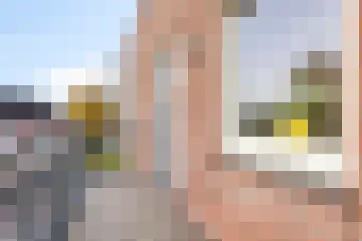 Oude Doetinchemseweg 22 d 's-Heerenberg thumbnail 4