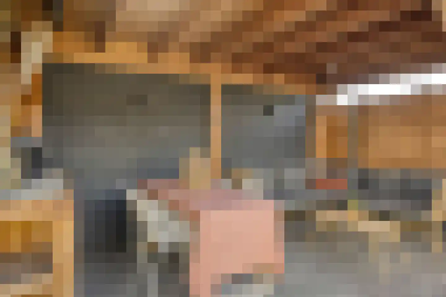 Oude Doetinchemseweg 28 's-Heerenberg thumbnail 35