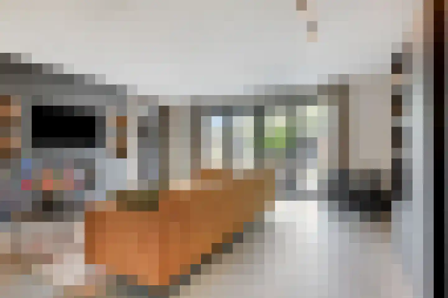 Oude Doetinchemseweg 31 Doetinchem thumbnail 20