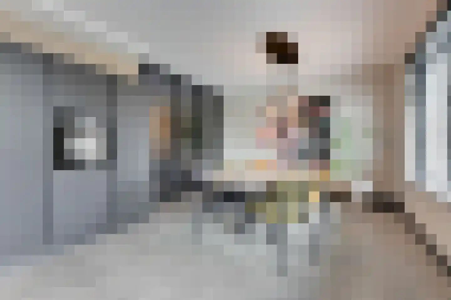 Oude Doetinchemseweg 31 Doetinchem thumbnail 30