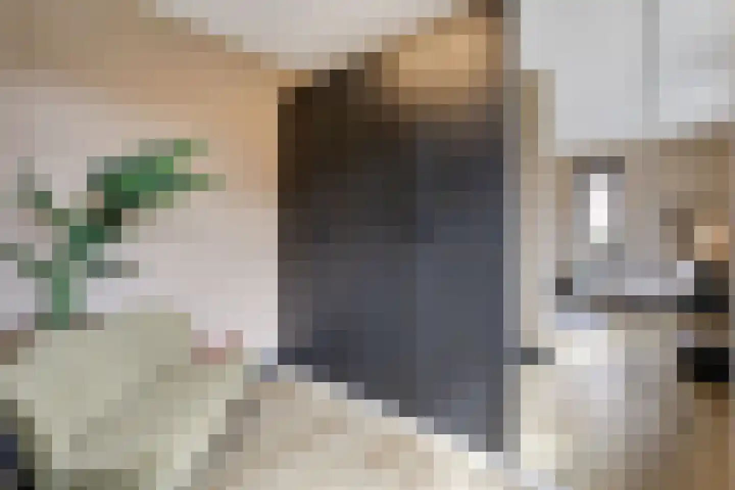 Oude Doetinchemseweg 31 Doetinchem thumbnail 46