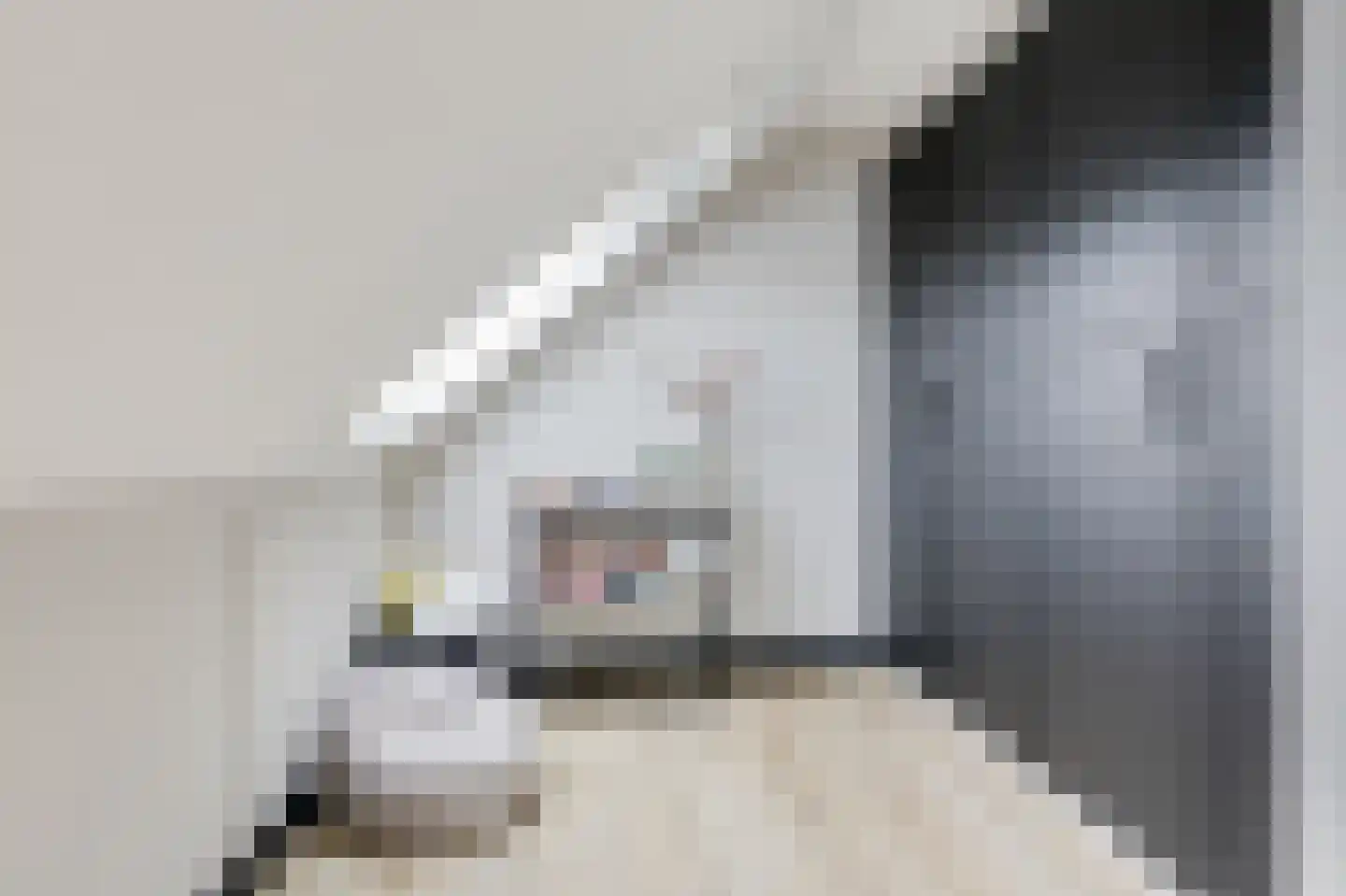 Oude Doetinchemseweg 31 Doetinchem thumbnail 64