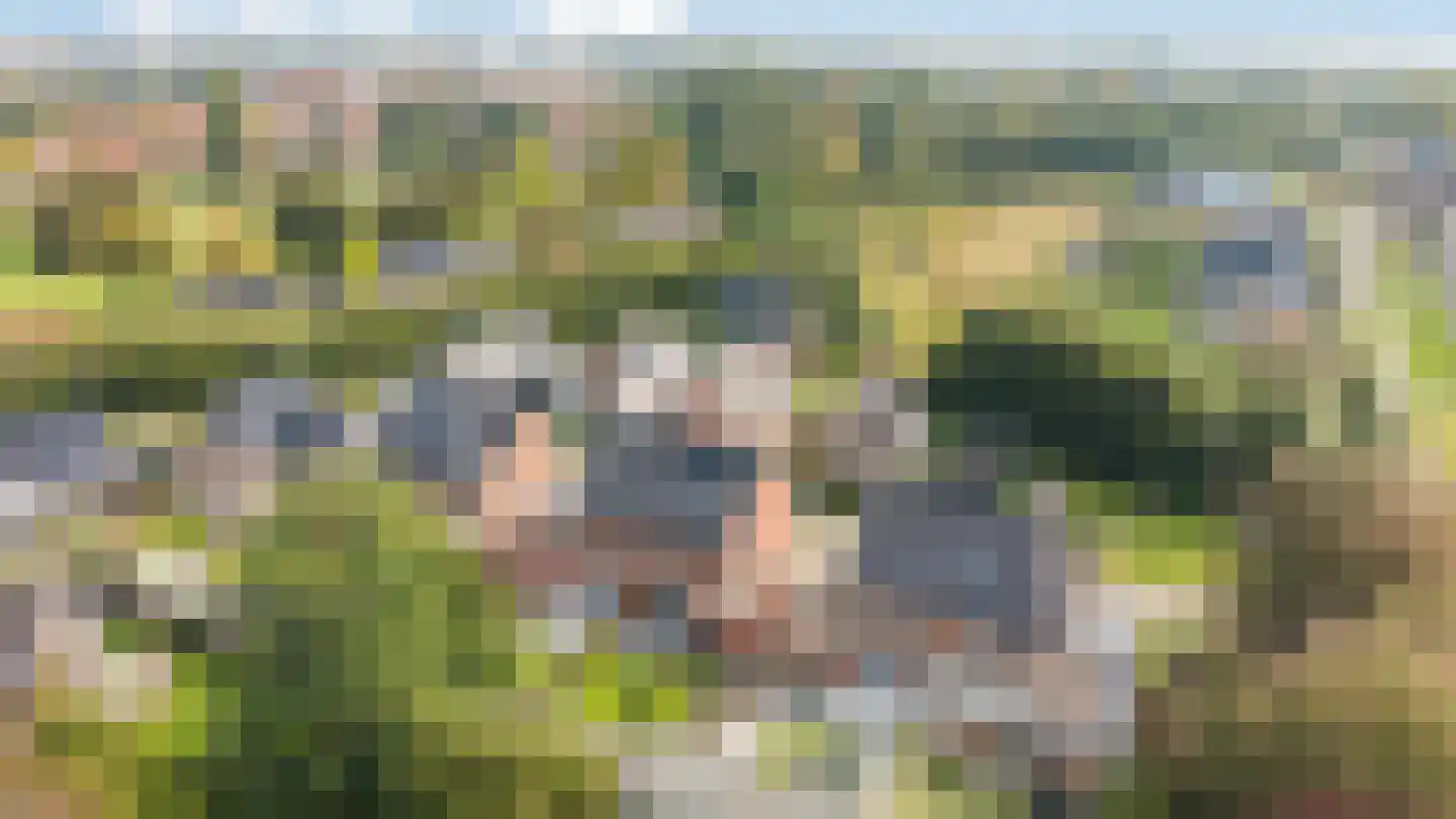 Oude Doetinchemseweg 31 Doetinchem thumbnail 7