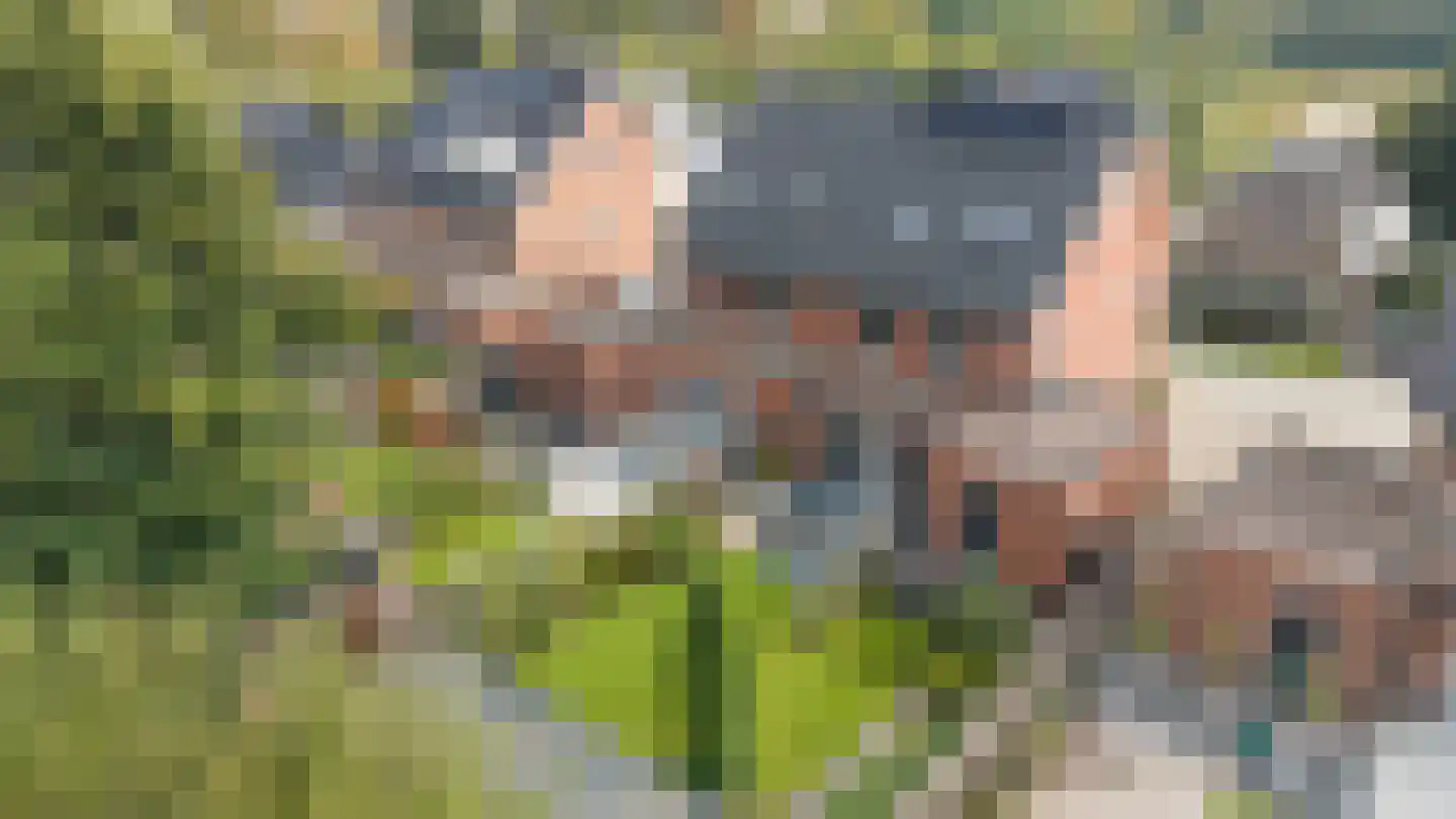 Oude Doetinchemseweg 31 Doetinchem thumbnail 8