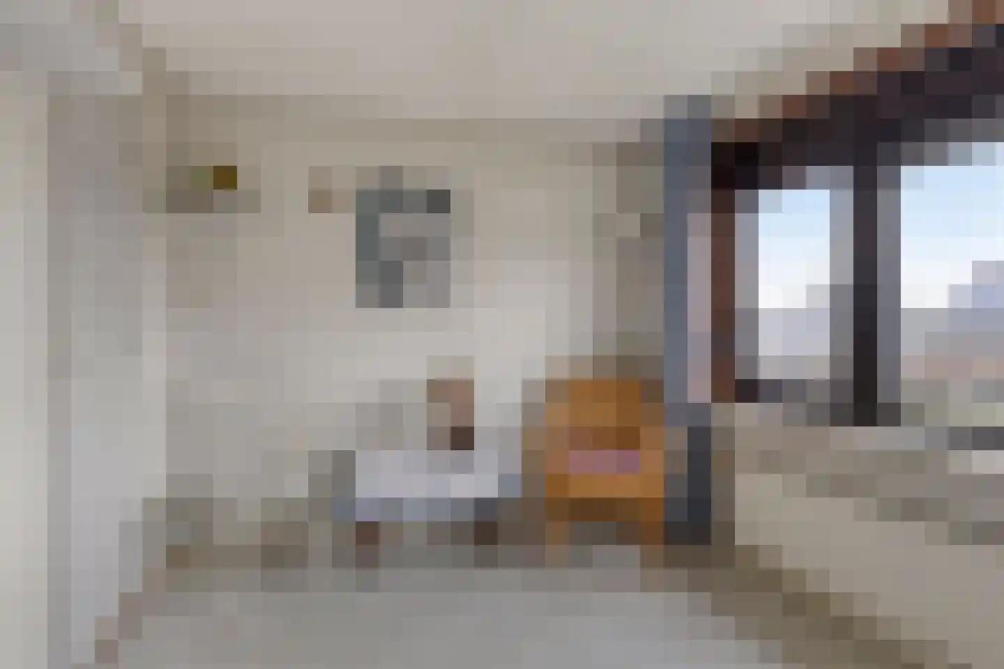 Oude Doetinchemseweg 35 Zeddam thumbnail 23
