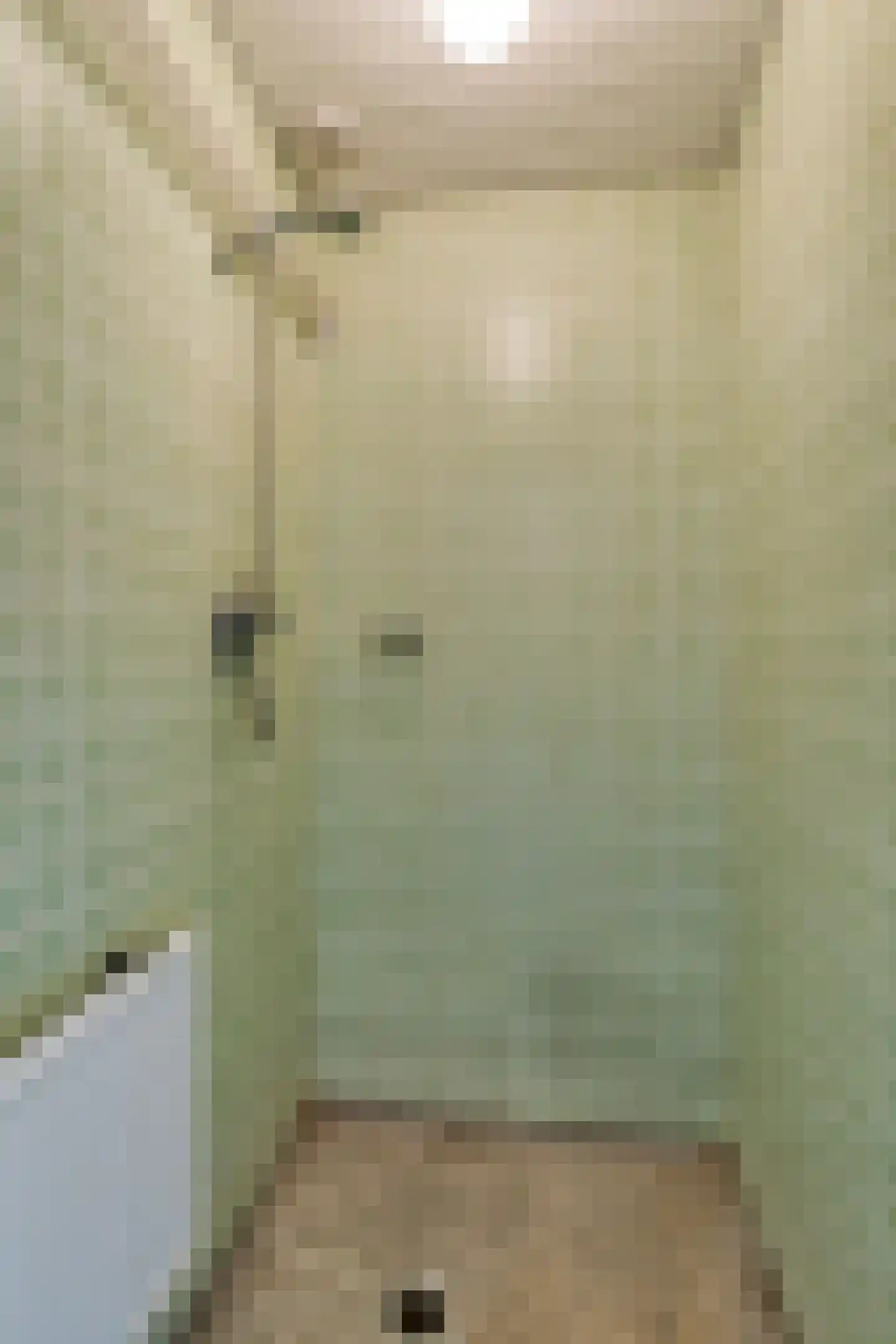 Oude Doetinchemseweg 35 Zeddam thumbnail 28