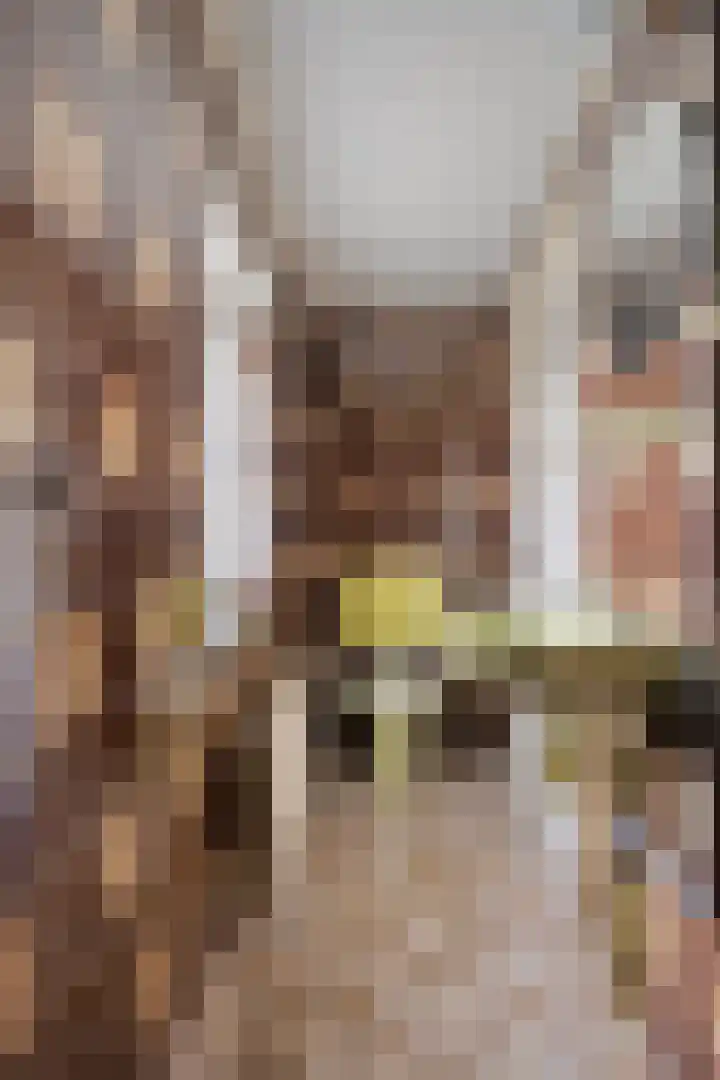 Oude Doetinchemseweg 55 Zeddam thumbnail 21