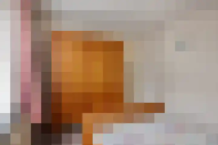 Oude Doetinchemseweg 55 Zeddam thumbnail 24
