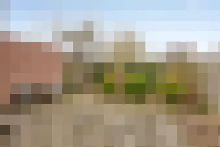 Oude Doetinchemseweg 55 Zeddam thumbnail 26