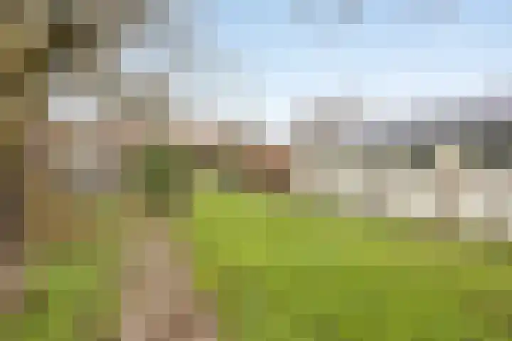 Oude Doetinchemseweg 55 Zeddam thumbnail 27