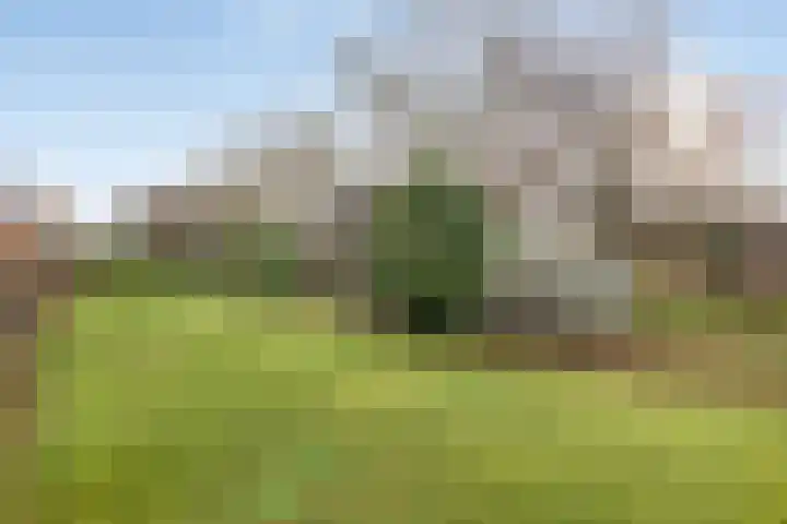 Oude Doetinchemseweg 55 Zeddam thumbnail 28