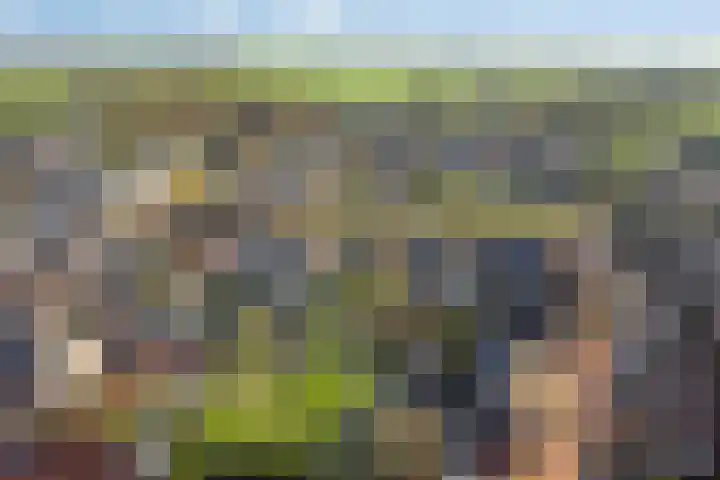 Oude Doetinchemseweg 55 Zeddam thumbnail 31