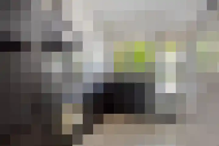 Oude Doetinchemseweg 90 's-Heerenberg thumbnail 15