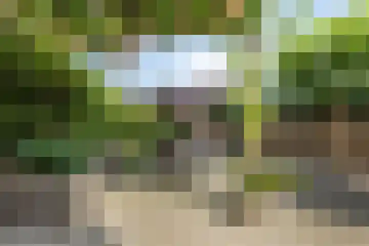 Oude Doetinchemseweg 90 's-Heerenberg thumbnail 34