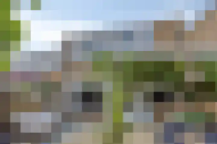 Oude Doetinchemseweg 90 's-Heerenberg thumbnail 35
