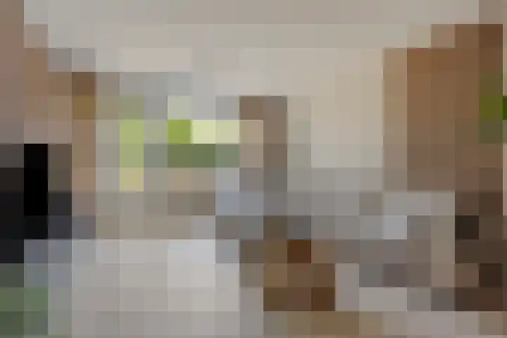Oude Doetinchemseweg 90 's-Heerenberg thumbnail 5