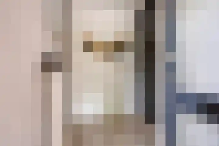 Oude Doetinchemseweg 90 's-Heerenberg thumbnail 8