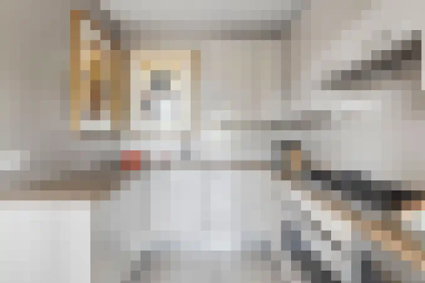 Oude Domburgseweg 15 Oostkapelle thumbnail 17