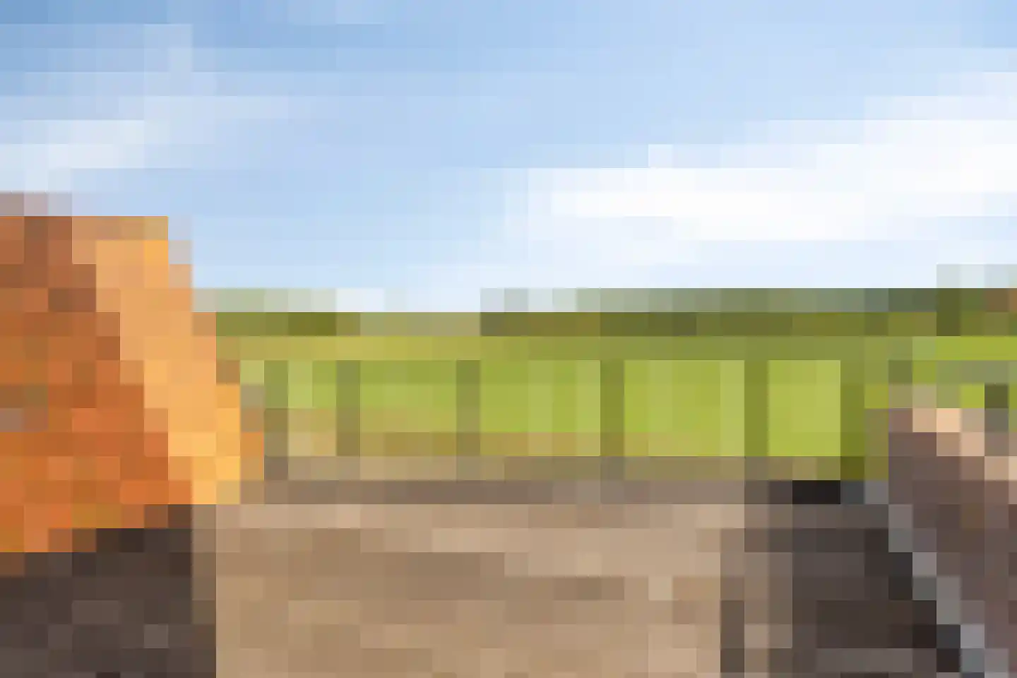 Oude Domburgseweg 15 Oostkapelle thumbnail 36