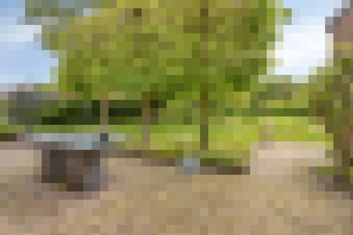 Oude Domburgseweg 50 Oostkapelle thumbnail 34